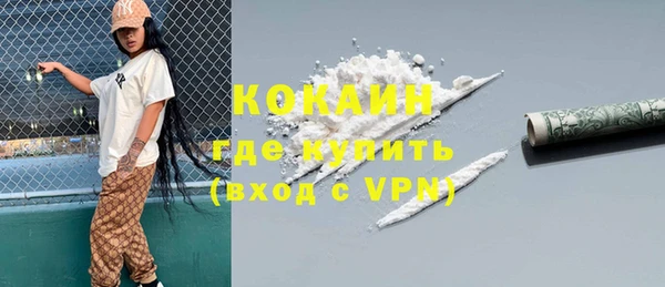 индика Медногорск
