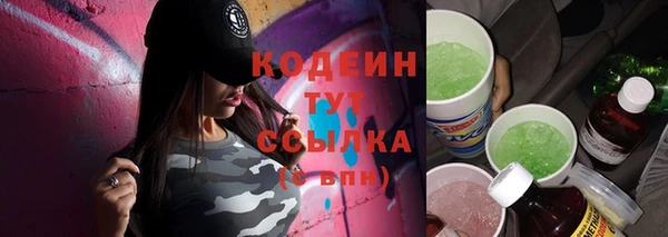 индика Медногорск