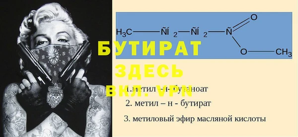 индика Медногорск