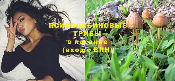 мет Мегион
