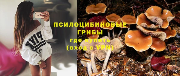 мет Мегион