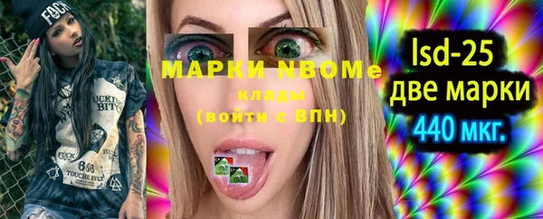 индика Медногорск