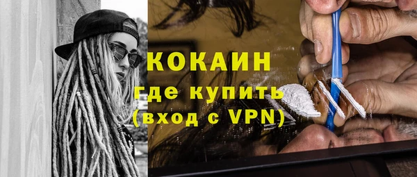 индика Медногорск
