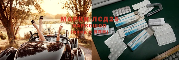 индика Медногорск
